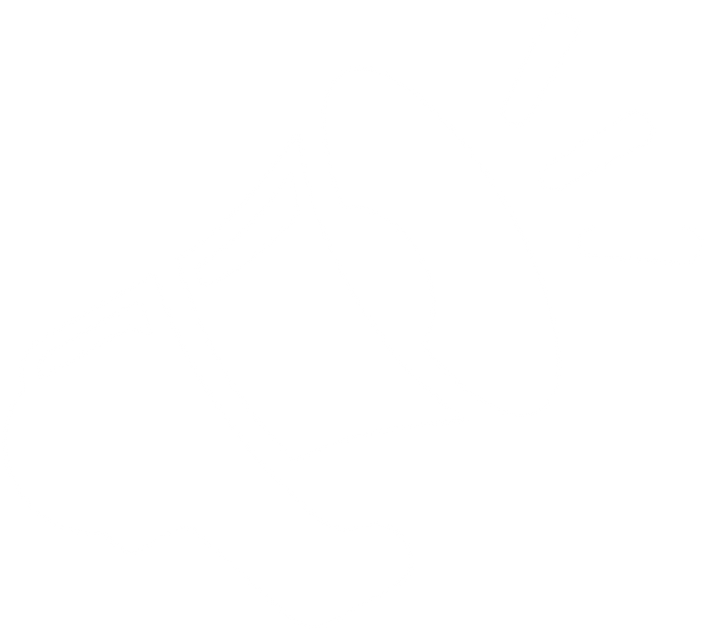 Promoting-image