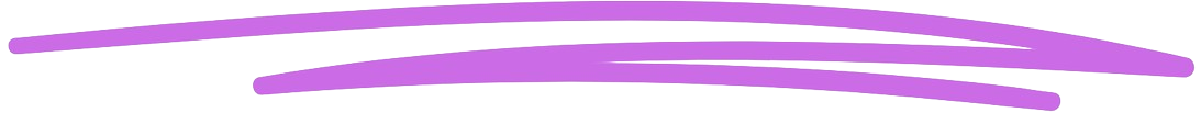 Raffle_Fundraiser-bottom-line